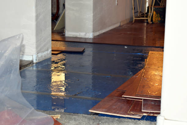 Professional Basement Flood Cleanup technician working in Perryville, MD